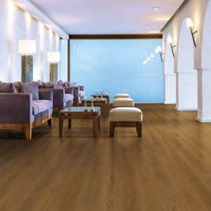 Glue Down LVT Flooring Prime Specimens Collection Daybreak D-SC-DA