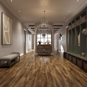 SPC Flooring Borrowed Scenery Collection Stake Bay X-BS-SB